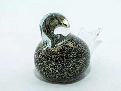 Spotted Glass Bird