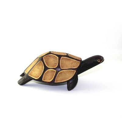 Wood Tortoise Medium Sized
